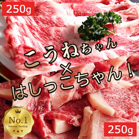 すき焼き 焼肉 セット はしっこちゃん 250g こうねちゃん 250g 国産 黒毛和牛A5等級 佐賀牛 こうね コウネ ブリスケ 切り落とし500g（250g×2P） 牛肉 すき焼き しゃぶしゃぶ 鍋 焼肉 焼き肉 鉄板焼 スライス ギフト プレゼント 贈答 前バラ 肩バラ 2~4人前 しゃぶしゃぶ