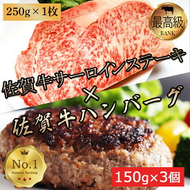 お肉 ギフト 佐賀牛 ハンバーグ 150g 3個 サーロインステーキ1枚 250g セット サーロイン 最高級 インスタ 映え キャンプ おもてなし 家飲み 女子会 BBQ 父の日 サイコロ ステーキ お試し 単品 A5