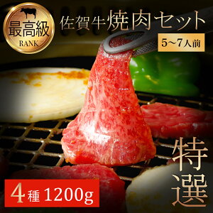 ꋍ ēZbg 5-7lOȏ 1200g Hה lߍ킹 Jr Jr [X  q z[p[eB[ BBQ ̓