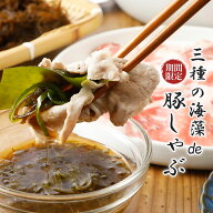 三種の海藻de豚しゃぶ 霧島山麓 SPF豚 しゃぶしゃぶ鍋 ロース 鍋セット 豚しゃぶ 三陸産 わかめ 昆布 も…