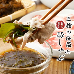 _y^ O̊Cde؂ R[ SPF Ԃԓ [X Zbg ؂ OY 킩 z  Y ߂ || ܂ Hׂ郉[ ܓǂ  