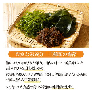 三種類の海藻