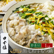 【野菜付き】【ゆず塩】博多もつ鍋 がばい 黒毛和牛もつ鍋セット（1人前/200g）贈答 贈り物 高級 ギフト …