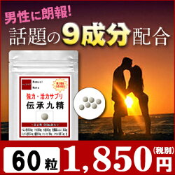 【マムシ/スッポン/マカ】/強力・活力サプリ伝承九精60粒(約1ヶ月分)/マムシエキス/蟻/発酵黒ニンニク/トナカイ角/水蛭/オットセイ/ハバネロパウダー