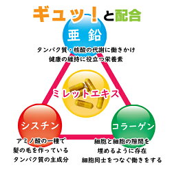 ミレットエキス末高濃縮スーパーミレットエキスお徳用270粒栄養機能コラーゲンシスチンシスチン亜鉛酵母ミレット健康サプリサプリメントボリューム美容ツヤコシアミノ酸通販夏敬老の日秋