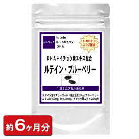 【送料無料】ルテイン＋ブルーベリーお徳用360粒(約6ヶ月分) サプリメント サプリ 目 眼 目の健康 ルテイン ブルーベリー DHA カシス イチョウ葉エキス βカロテン食品 美容 通販 健康 プレゼント 冬