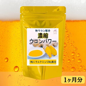 NN~120mgܗLwZkERp[x 30i1j ̑   VR e Mtg 蕨 ̑GLX  Tv Tvg ^ubg  ʔ N v[g H