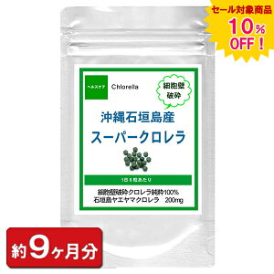 ysale 10%offzΊ_YX[p[Np1620(9)MoYVbv ʔ N v[g