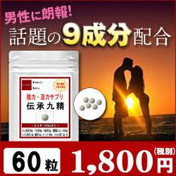 まむしマカ黒にんにくすっぽん蟻オットセイトナカイ角九精サプリメント【送料無料】伝承九精60粒(約1ヶ月分)マムシスッポンマカすっぽんサプリマムシエキス配合まむし【ポイント消化】