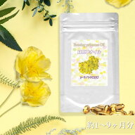月見草オイル (約1～9ヶ月分) 月見草サプリメント 美容サプリ 美容サプリメント サプリ サプリメント 美…