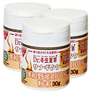 【最大2000円OFFクーポン配布中!!】冬虫夏草 サプリメント 国内産 津和野産 サナギタケ虫夏草 粉末 お徳用 3本セット (30g×3本) 【送料無料】産官学連携共同研究による特許製法 パウダー メン