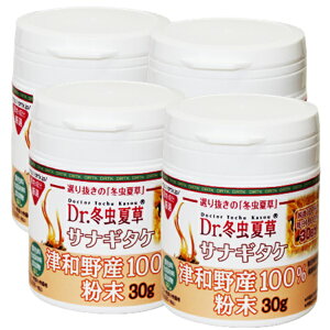 yő2000~OFFN[|zz!!z~đ Tvg Yđ ØaY TiM^Pđ  p 4{Zbg (30g×4{) yzYwAgɂ@ pE_[