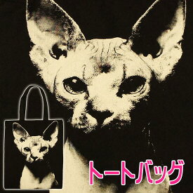 楽天市場 スフィンクス 猫の通販