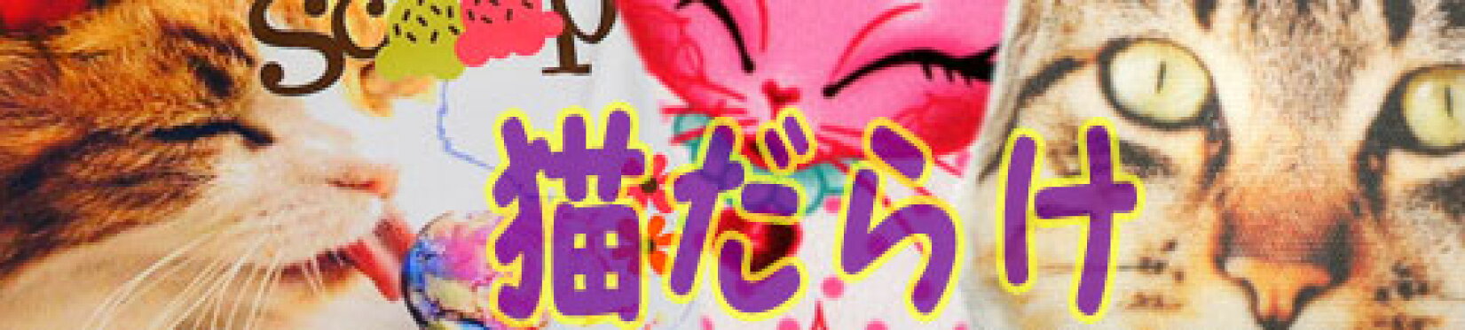 猫派の皆さんへ