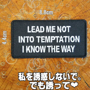 hJ AC byyLEAD ME NOT INTO TEMPTATION/UfȂŁAłUāzXO p    ` ̂ pb` AbvP oCJ[ zbgbh bN[ bN