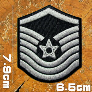 ~^[ byyK R㋉mzUS Air Force AJR pb` L ČR R R AC Еt hJ AbvP wappen patch