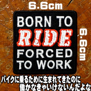 hJACbyyBORN TO RIDE, FORCED TO WORK/oCNɏ邽߂ɐ܂Ă̂ɁAȂႢȂ񂾂ȁzoCN oCJ[ C_[    p ` pb` XO zb