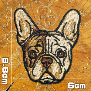 hJAj}byyt`uhbOzACڒ tu  Ck  G  񂿂  G DOG Aj} D hイ JX^ AC pb` Abv