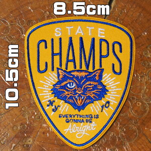 AJWby hJySTATE CHAMPS B̃`sIzL`sI AJ L ˂ hJAC AbvP pb` DIY hJby wappen patch