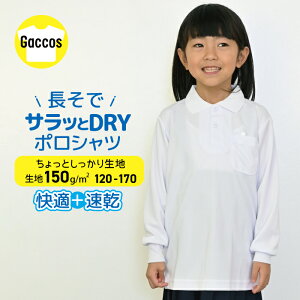 1101:59܂50OFF  |Vc hC |GXe Tb  z jp De[vt  w XN[|Vc LbY