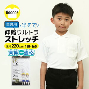 yEgXgb`z |Vc    Xgb` wZ w \ w Ǝ LbY j̎q  w  w Vc XN[ ʊwp wZp w