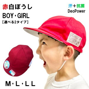 ݌Ɍ ԔXq L R ̎q j̎q wZ ̑ M L LL OL
