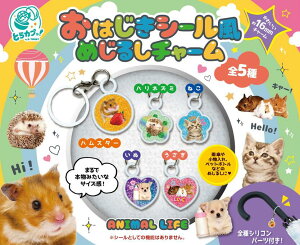 ͂V[ ߂邵`[ S5ZbgytRv[g/2025N12\z