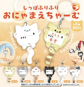 ۂӂӂ ɂ܂[ S6ZbgytRv[g/2026N03\z