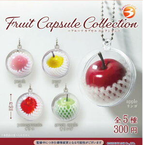 Fruit Capsule Collection �S5��Z�b�g�y�t���R���v���[�g/2026�N07�������\��z