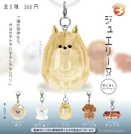 【2次予約】ジュエリーヌ めじるしコレクション 全5種セット【フルコンプリート/2026年12月発売予定】