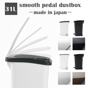 X[X ʃ_Xg{bNX Lb` W Â 45LܑΉ zCg/ubN/^/Ebh DTB600081