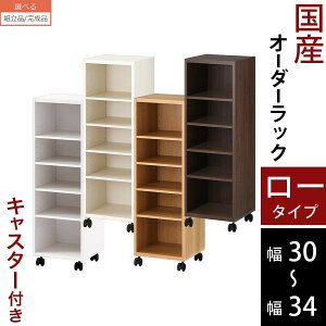 {I LX^[t ܎[ X [I ؐ [^Cv  30cm 31cm 32cm 33cm 34cm zCg/zCgEbh/I[N/EH[ibg ygi/iIׂz ABE400102