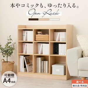 [bN 3i  90 cm I }KWbN fBXvCbN {I [I I[vVFt ؐ CD DVD A4  G  R~bN[ EH[ibg/i`/zCgygi/