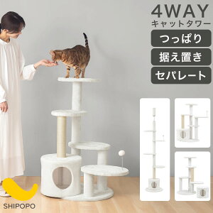 LƋ LbgEH[N  ő  180cm ˂ Lbg^[ X L qL VjA ܂Ƃ   4WAY   u nEXt ^ LJtF Lpi OK 