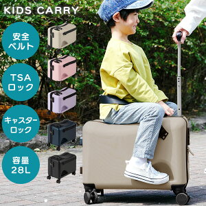 LbY  L[ P[X  L[obO  50cm 40cm s28cm 28L X[cP[X 23 s obO RR _uLX^[ O[W/sN/x_[/lCr