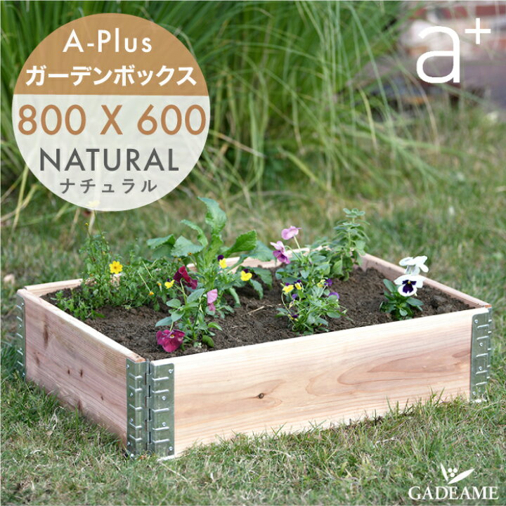 楽天市場 5月中旬入荷 ガーデンボックス 800x600 ナチュラル Ad 0806nl A Plus エープラス Garden Box 80cm 60cm Natural 木製 プランター ガーデンベッド レイズドベッド レイズドガーデン 立ち上げ花壇 家庭菜園 野菜 ハーブ ガーデニング 組立式 Aplus 国産 杉