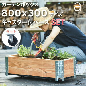 yLX^[ZbgzK[f{bNX 800x300 i`/ubN LX^[tx[XZbg a-plus g garden box fbL RN[g [[ v^[ K[fxbh CYh