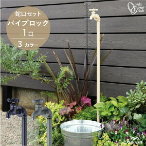   pCvbN 1 ֌Zbg 3J[yI[NuzPIPE LOCK { p֌ X g Vv _  킢 fUC  ܂ K[fj