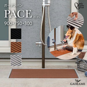 y2025 ViI zK[fp p[`F 3J[ 3TCY Pace ݌^ ubN CgO[ uE K[f|bg   X I[Nu    { 