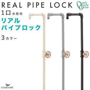  ApCvbN 1dl  3J[ I[XeX I[Nu ounh  {   K[fjO U fUC C_XgA _ 