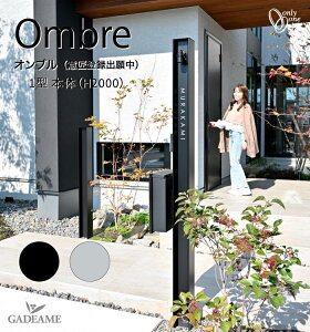 @\和 Iu 1^ { iH2000j 2J[ yI[zOmbre @\jbg |Xg \D Ɩ C^[z t\