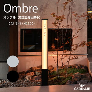 @\和 Iu 2^ { iH1300j 2J[ yI[zOmbre @\jbg |Xg \D Ɩ C^[z t\