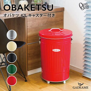 OBAKETSU �I�o�P�c �S�~�� 42L �L���X�^�[�t �I�����[���� ���{�� ���΂��� ���o�P�c ���ݔ� �L�b�`�� �ی^ �S�~�� �_�X�g�{�b�N�X ������h�~ �L���X�^�[�t �I�o�P�c 42L �T�C�Y