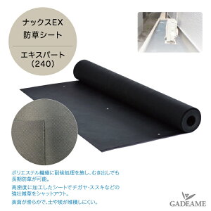 hV[g ibNXEX G}V[g GLXp[g 240 sDz ϋv G΍ Gh~ V[g GV[g _ | ƒ؉ K[fjO 󂫒n