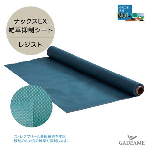 hV[g ibNXEX G}V[g WXg sDz ϋv G΍ Gh~ V[g GV[g _ | ƒ؉ K[fjO 󂫒n