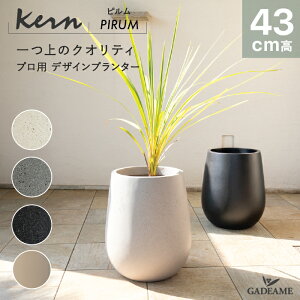 yNEW!zv^[ ^ O/ KERN PIRUM 43cm hbvEh ی^ {E t@Co[OX GFRP i ό Aؔ A Jo[ |bg ꌊ _fUC A ϗtA eX 