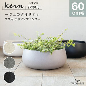 yNEW!zv^[ ^ O/ KERN TRIBUS 60cm [{E Eh ی^ 񂹐A t@Co[OX GFRP i ό Aؔ A Jo[ |bg ꌊ _fUC K[fjO 