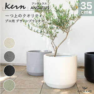 yNEW!zv^[ ^ O/ KERN ANGULUS 35cm Eh AO ی^ V_[ t@Co[OX GFRP y i ό Aؔ A Jo[ |bg ꌊ _fUC ϗtA e