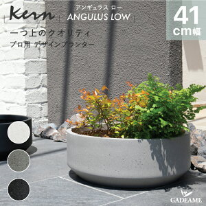 yNEW!zv^[ O/ KERN ANGULUS LOW AMX[ a41cm Eh ی^ {E t@Co[OX GFRP i ό Aؔ A A  Jo[ |bg ꌊ _fUC