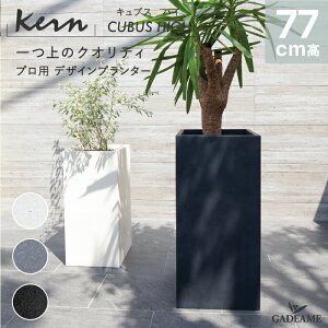 yNEW!zv^[ ^ O/ KERN CUBUS HIGH LuXnC 77cm 37cm XNGA L[u ` p X g[ y GFRP i ό Aؔ A Jo[ |bg ꌊ _f